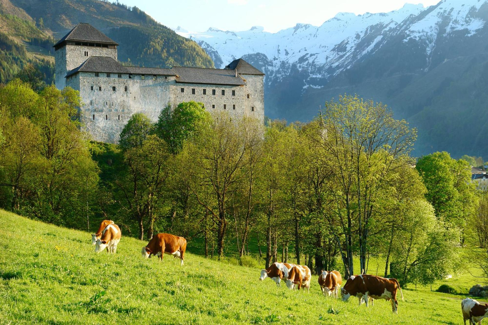 Simone'S Platzerl - Inklusive Taeglichem Freien Eintritt Tauern Spa - Nur 5 Gehminuten, Sommerkarte, Privatem Garten Mit Schwimmteich, Grill Und Saunabereich Kaprun Exterior photo